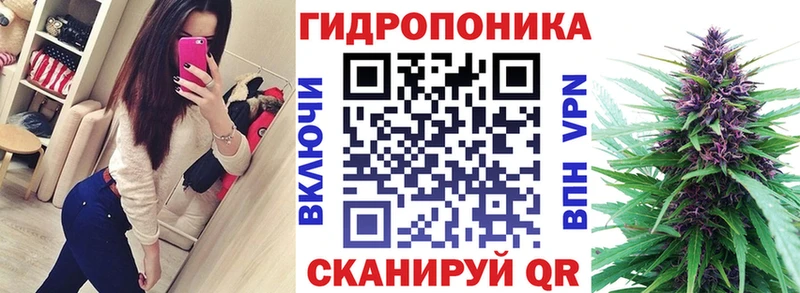 где купить наркоту  Пойковский  Конопля план 